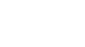 Logo 15