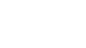 Logo 20