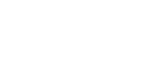 Logo 21