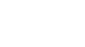 Logo 25